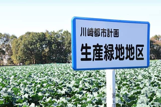 生産緑地問題とは?土地の価格に与える影響と今後の対策