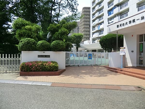 駿河台大学第一幼稚園まで約1462m