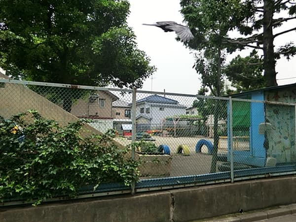 練馬区立貫井保育園まで約312m