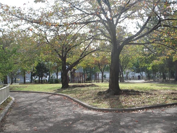 露橋公園まで約1228m