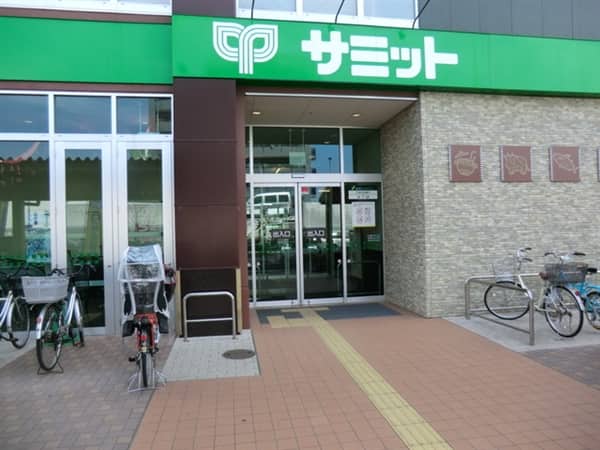 サミットストア環八南田中店まで約541m