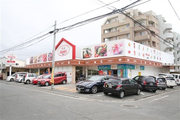 マミーズ紅葉店まで約608m