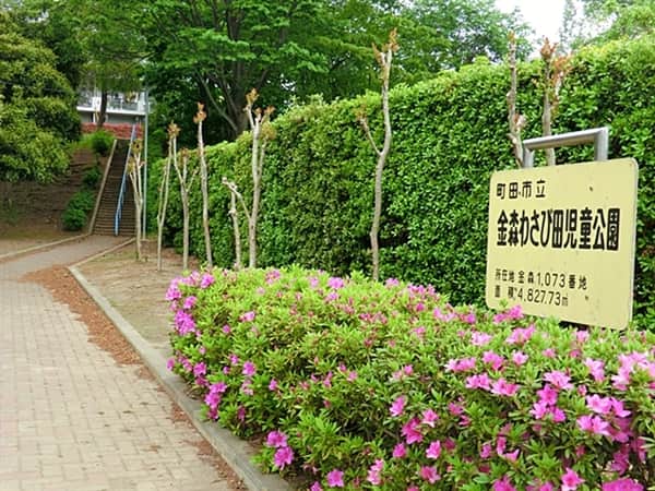 金森わさび田児童公園まで約883m