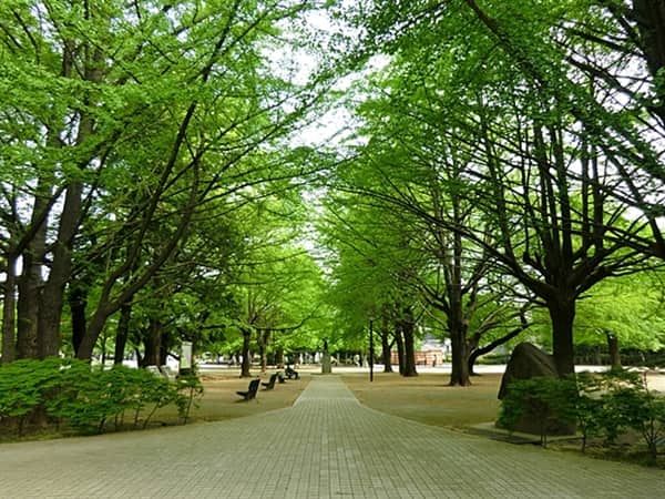 板橋区平和公園まで約426m