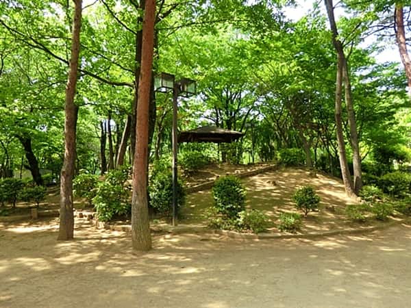 国分寺市立けやき公園まで約1480m