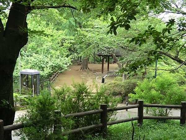 大倉山公園まで約543m