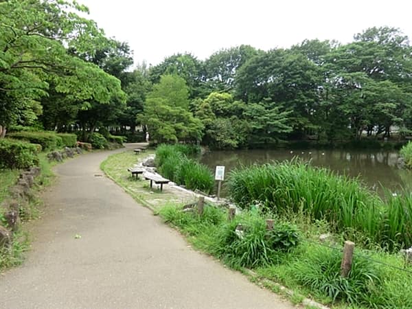 じゅん菜池公園まで約978m