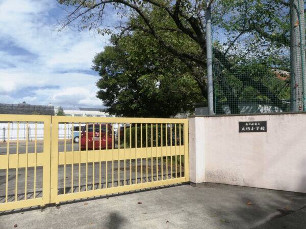 江戸川区立大杉小学校