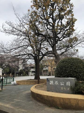 篠原公園まで約232m
