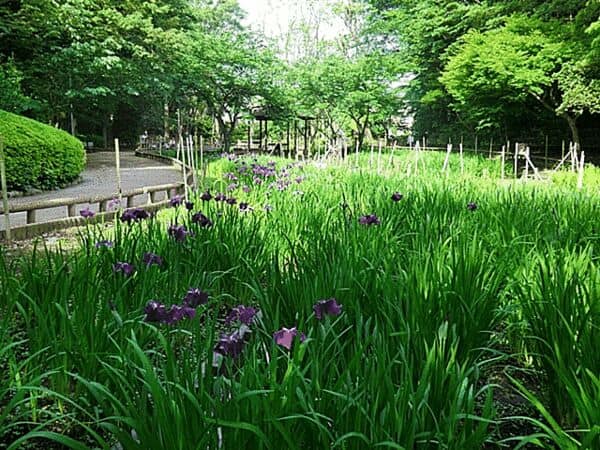 森林公園まで約321m