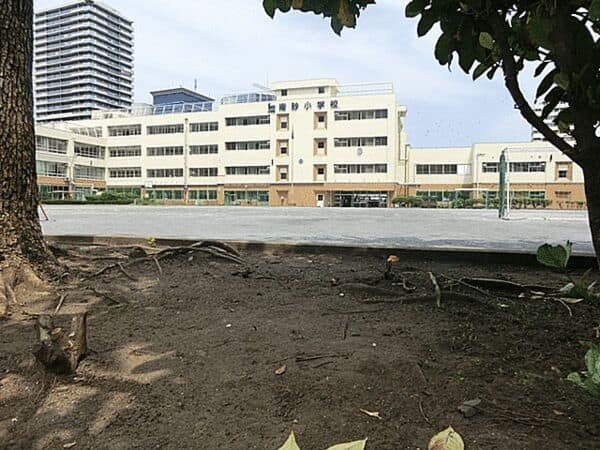 江東区立南砂小学校