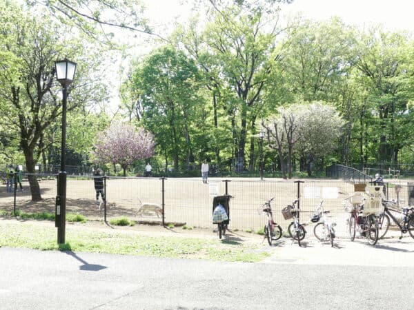 蘆花公園まで約670m