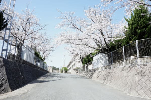 春日市立春日南小学校