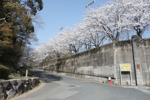 太宰府市立太宰府中学校