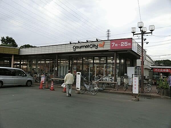 グルメシティ関東立川若葉店まで約731m