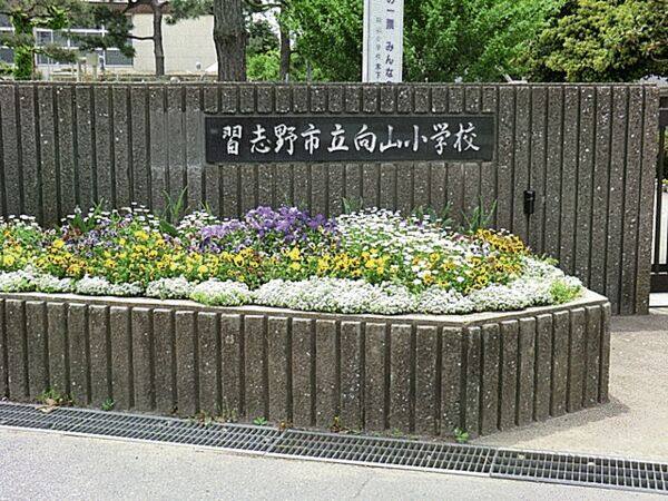 習志野市立向山小学校