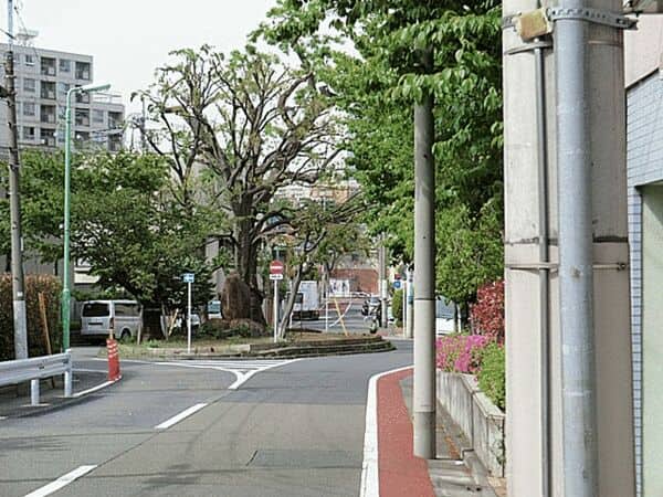 目黒区立芦毛塚街かど公園まで約712m