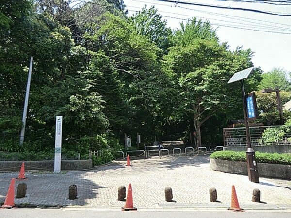 林試の森公園まで約327m