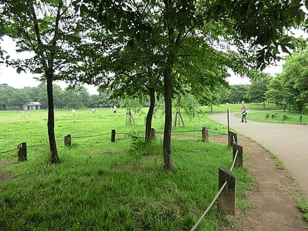 杉並区立柏の宮公園まで約443m