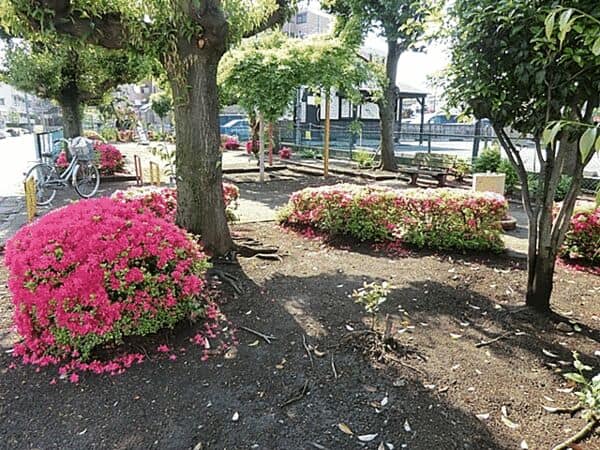花南第１児童公園まで約1184m