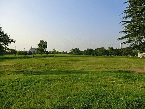 中川公園まで約823m