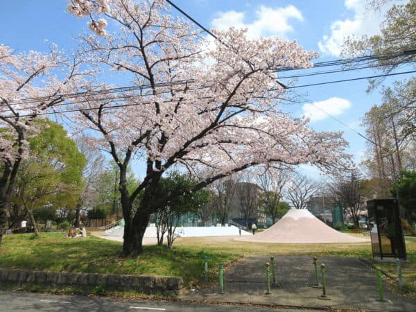 昭和橋公園まで約566m