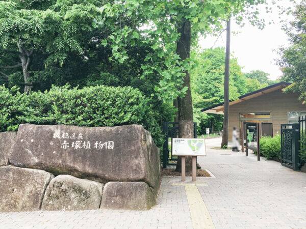 板橋区立赤塚植物園まで約1026m
昭和56年開園。本園は約1haの敷地内に樹木見本園として多くの樹種が植えられ、その下には野草も可憐な花を咲かせています。