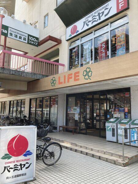 ライフ向ヶ丘遊園店まで約667m