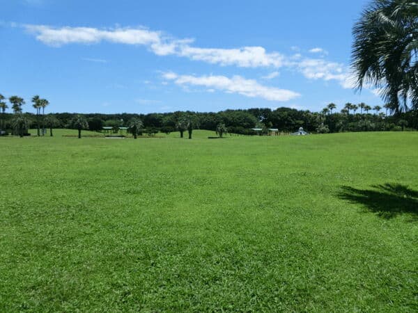 辻堂海浜公園まで約493m
