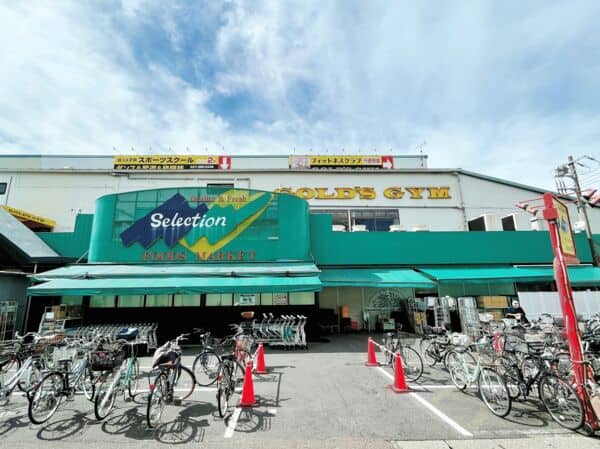 セレクション行徳店まで約984m