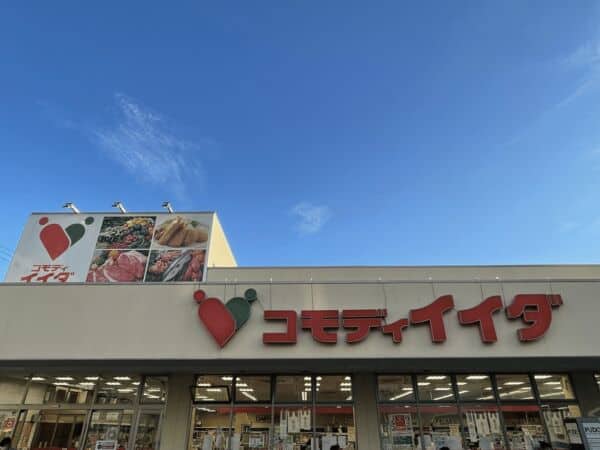 コモディイイダ平井店まで約727m