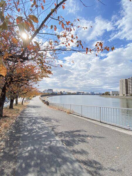 栄町汐入町公園通りまで約1311m