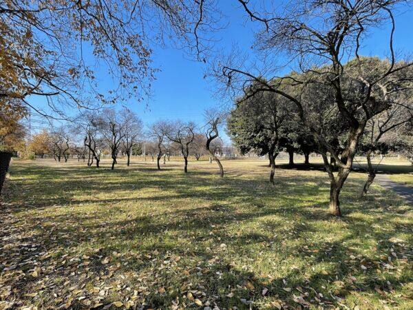 エコ・パークまで約1490m
