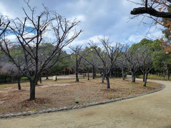 近松公園まで約851m