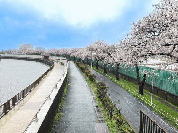 中川左岸緑道公園まで約1491m