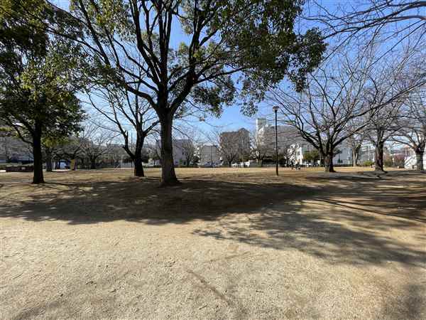 東葛西けやき公園まで約785m
広々とした広場のある緑豊かな公園です。遊具がないので、休日にレジャーシートを広げてピクニックを楽しむこともできます。