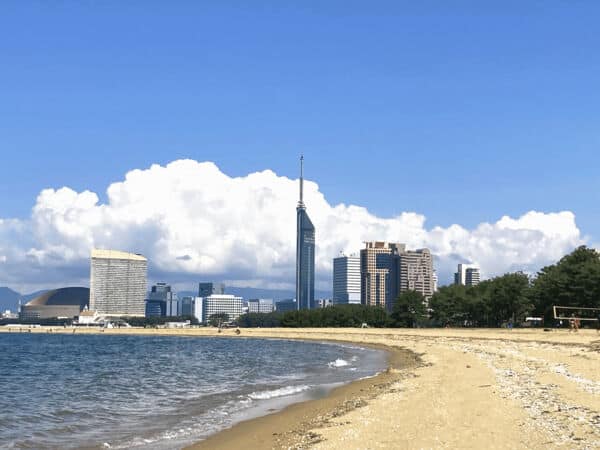 マリナタウン海浜公園まで約1326m