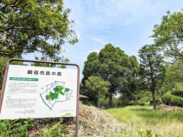 綱島市民の森まで約938m
木々の中にテーブルやベンチ、広場などが配置されている、ピクニックやアウトドアに適した市民の憩いの場です。