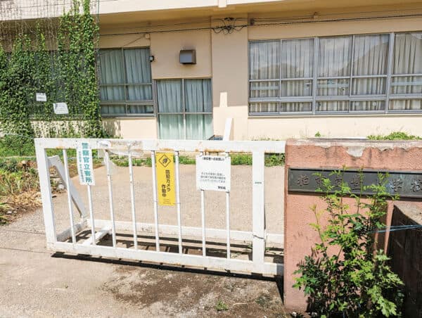 柏市立豊小学校