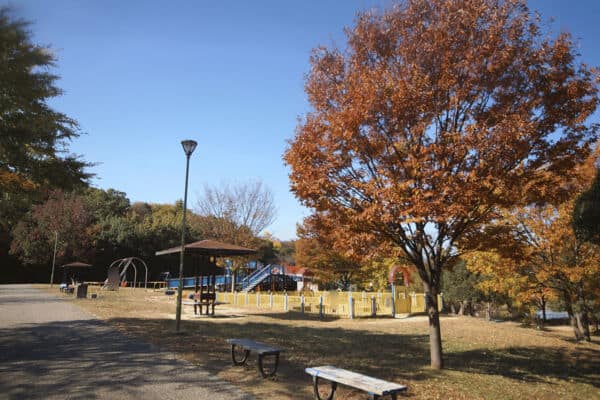 天白公園まで約173m
