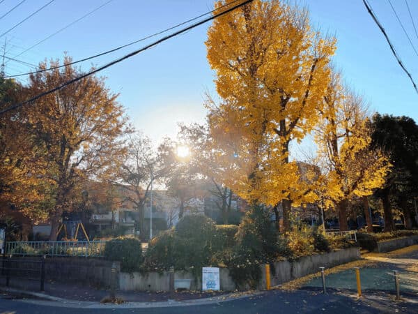 都島公園まで約473m