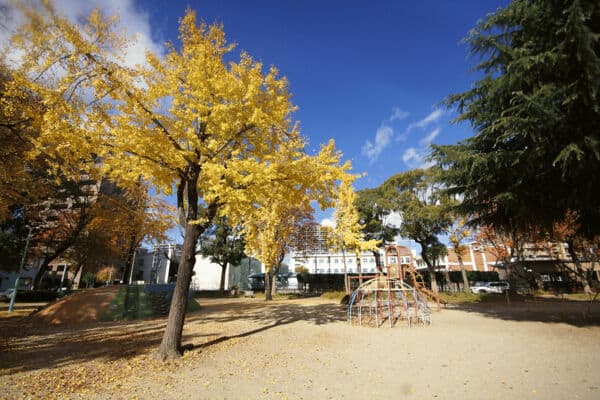 正木公園まで約427m