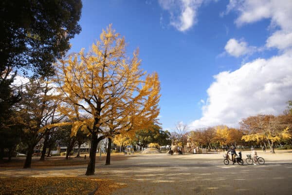 千種公園まで約462m