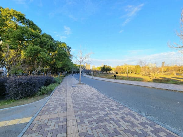 長居公園まで約989m