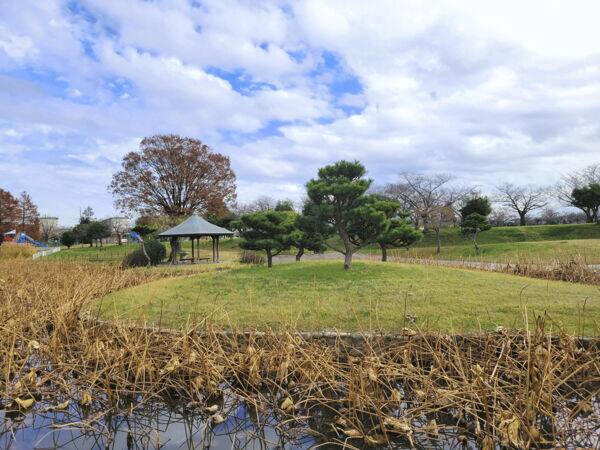 白鷺公園まで約1265m