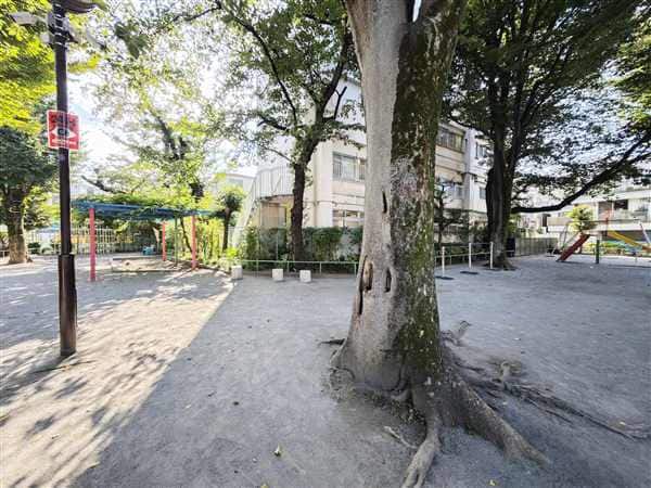 笹塚公園まで約491m