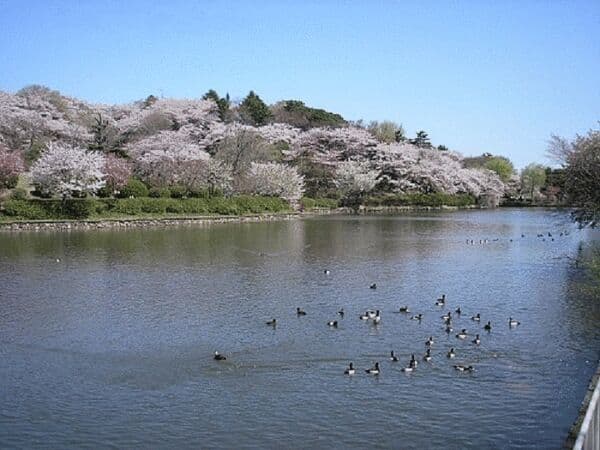 三ツ池公園まで約374m