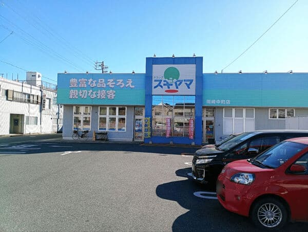ドラッグスギヤマ岡崎中町店まで約1246m