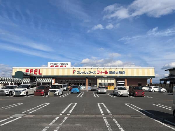 フィール岡崎大和店まで約1767m