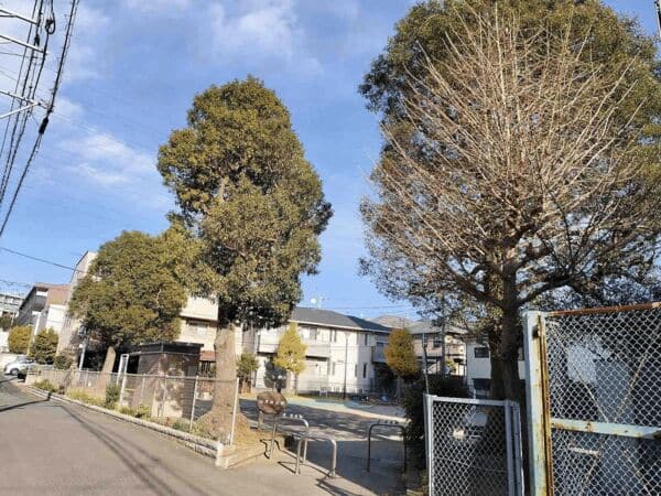 前原西公園まで約603m